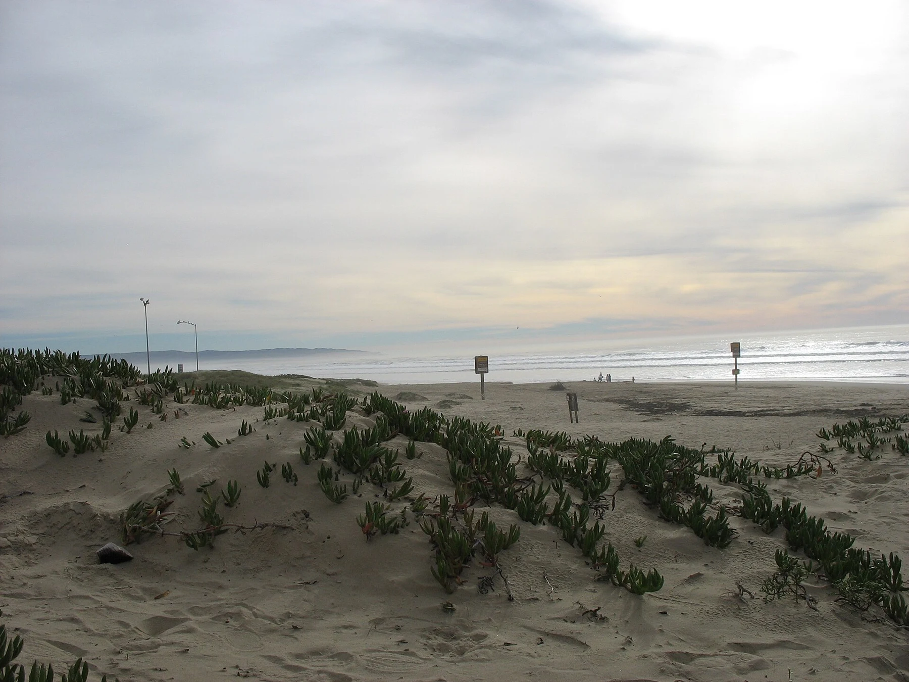 View of the Guadalupe-Nipomo dunes from Oceano